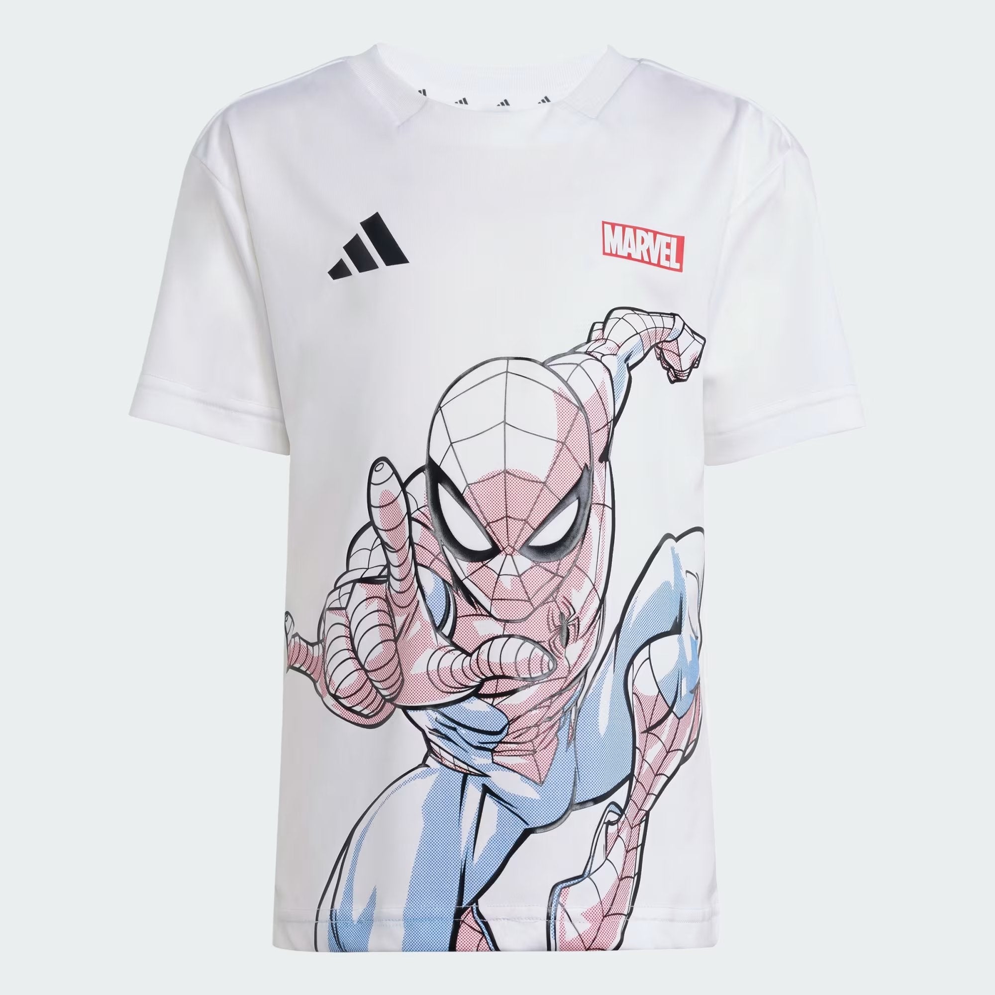 COMPLETINO SPIDERMAN