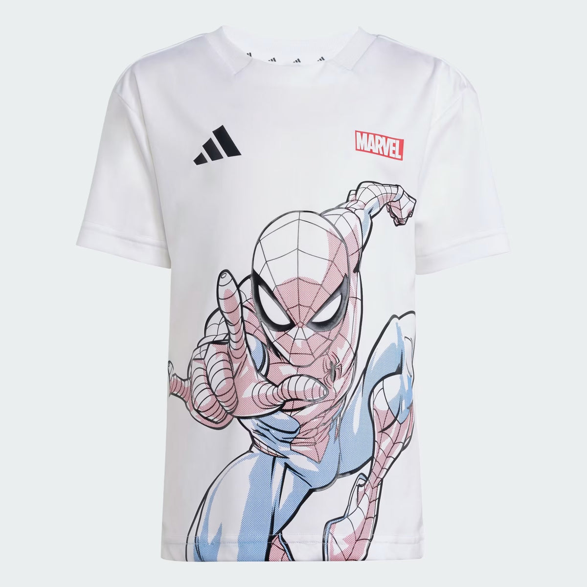 COMPLETINO SPIDERMAN