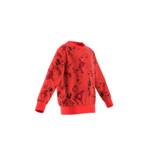 Cargar imagen en el visor de la galería, FELPA JUNIOR DISNEY