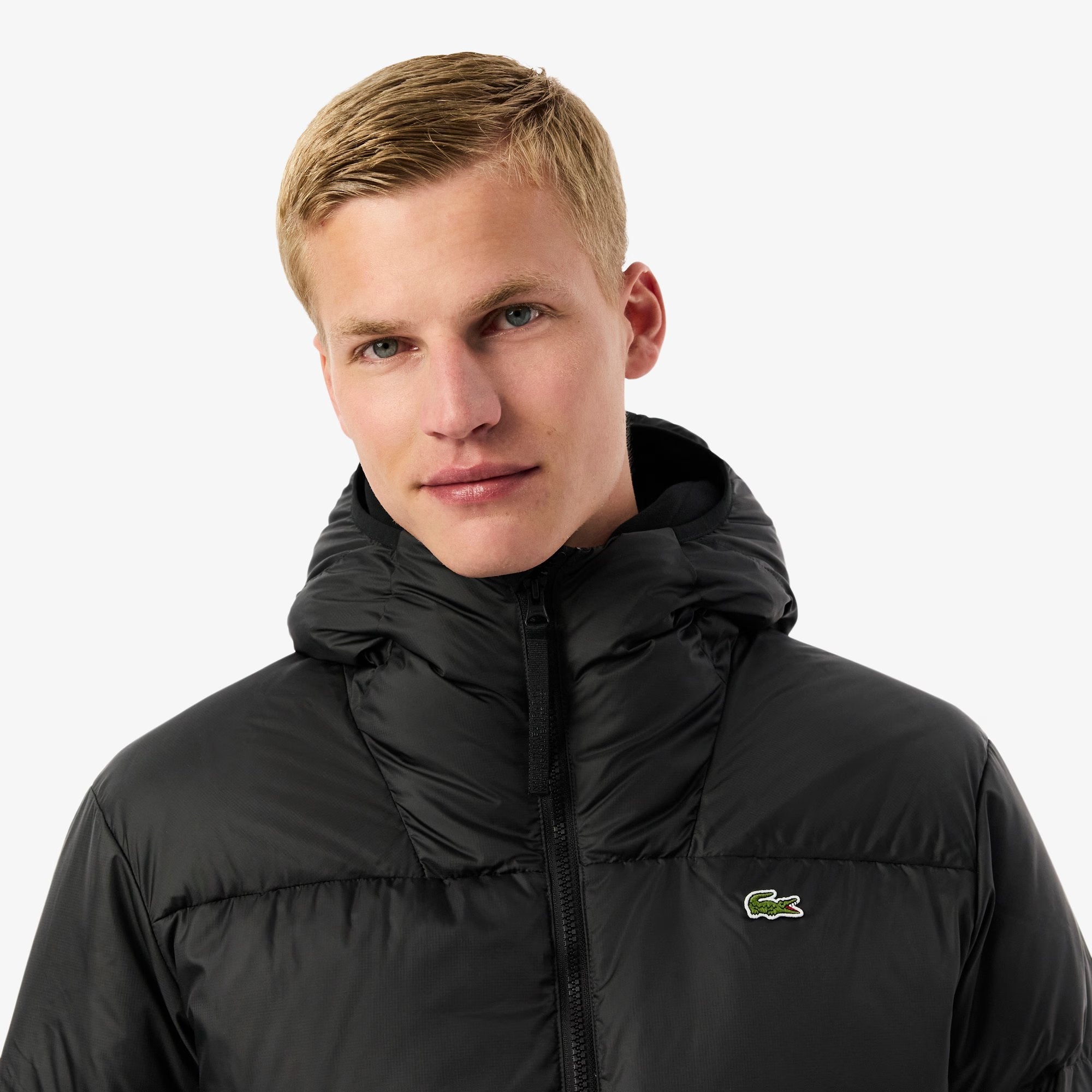 PIUMINO LACOSTE UOMO