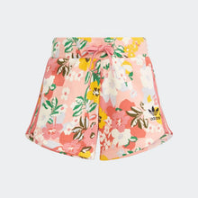 Load image into Gallery viewer, COMPLETINO BIMBA