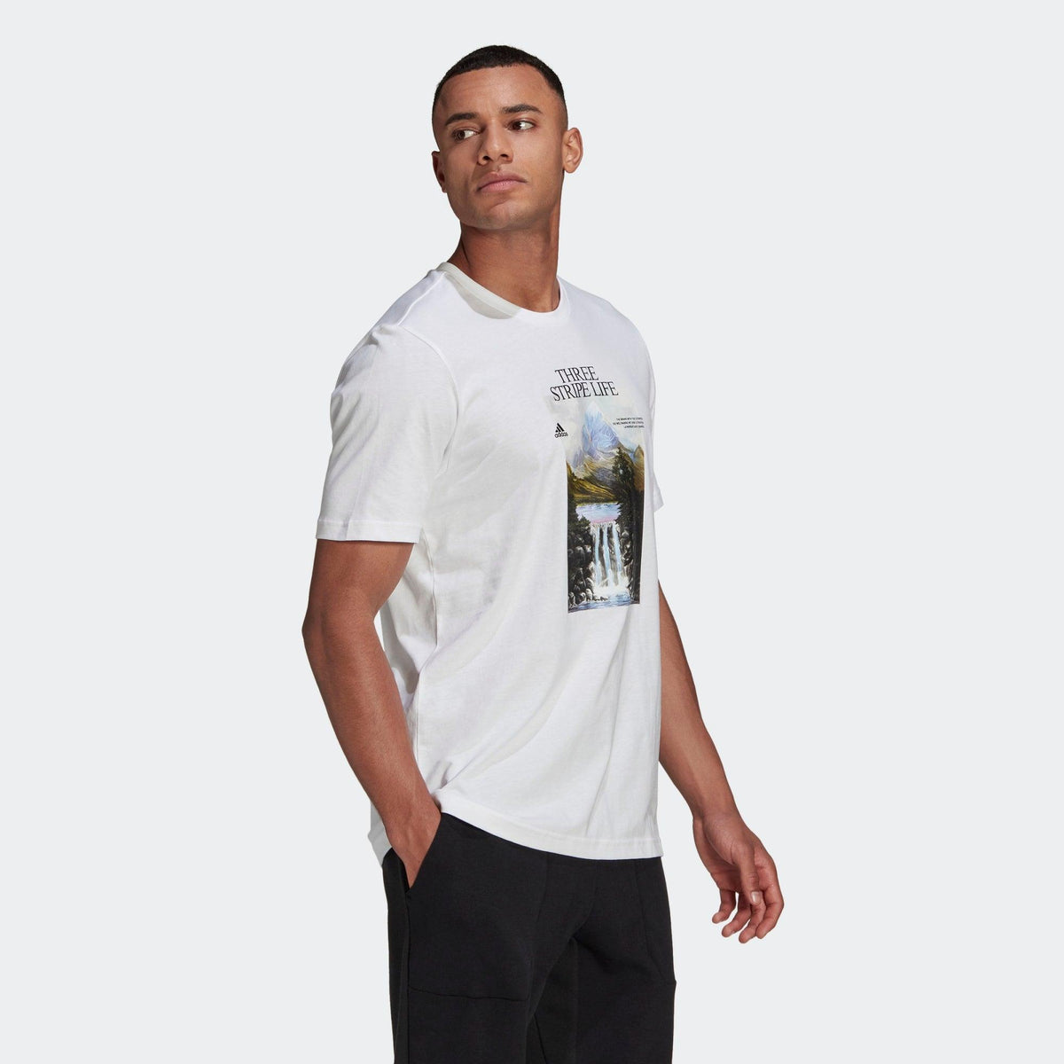 MOUNTAIN TEE M T-SHIRT