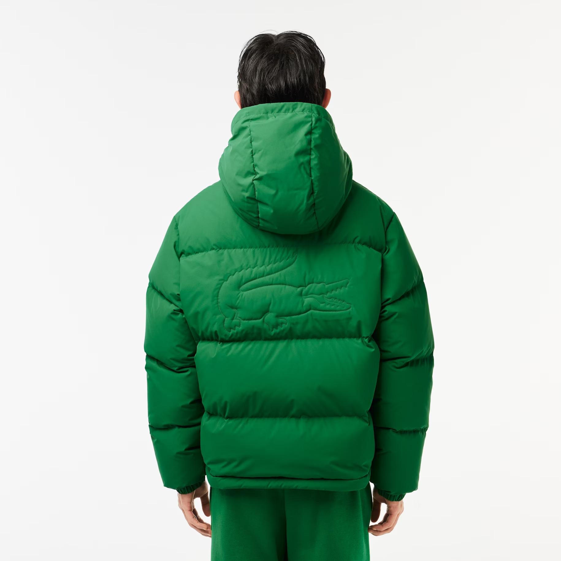 PIUMINO UOMO LACOSTE - Azzollino