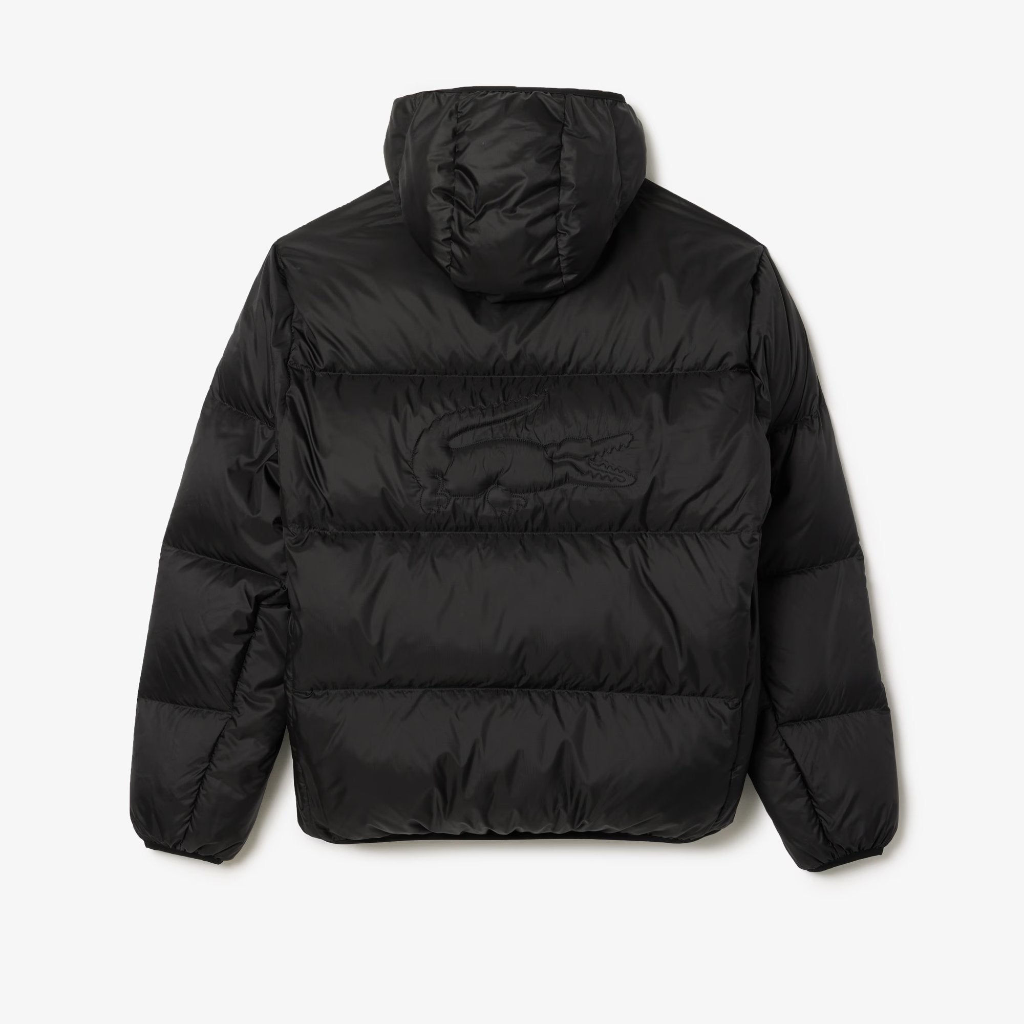 PIUMINO LACOSTE UOMO
