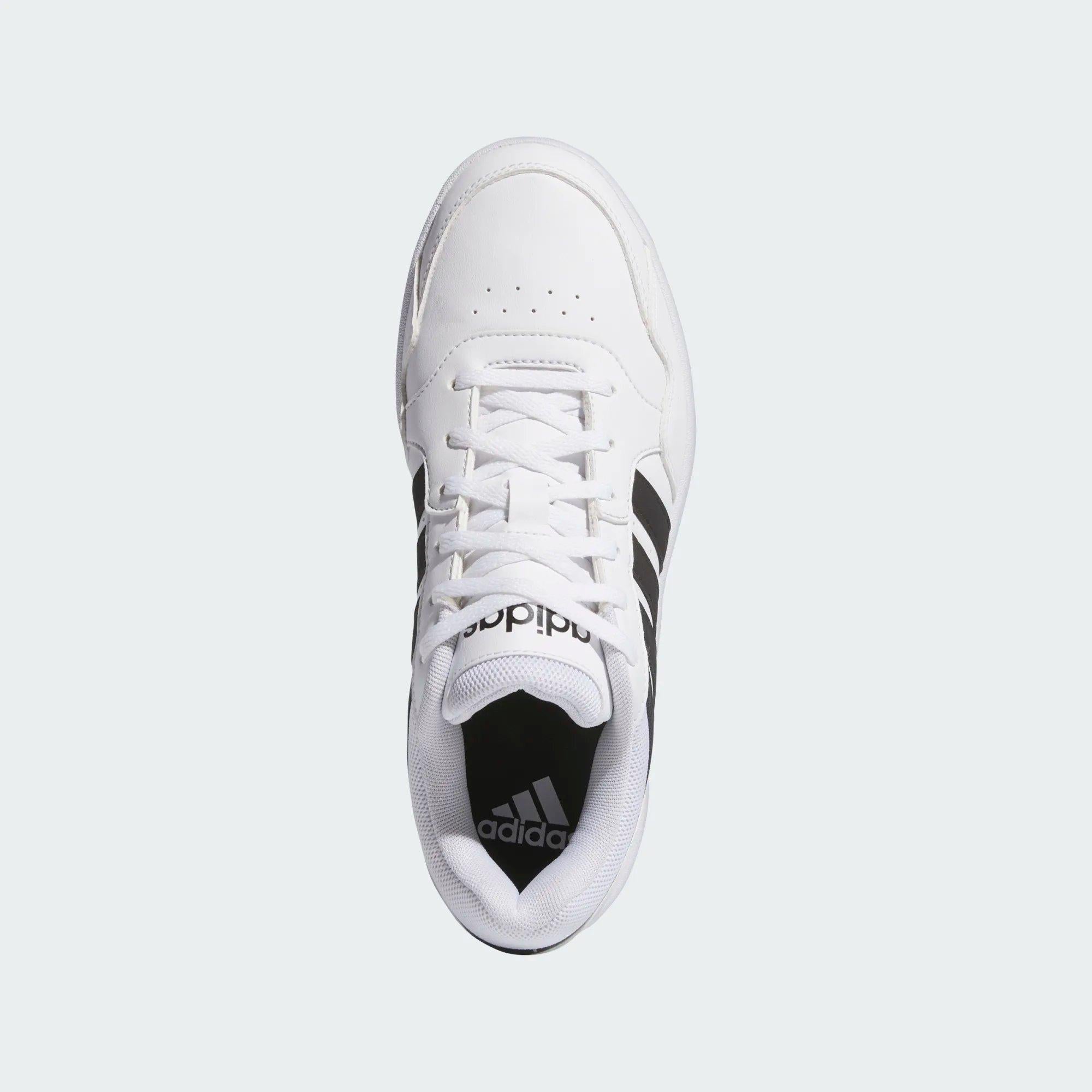 HOOPS 3.0