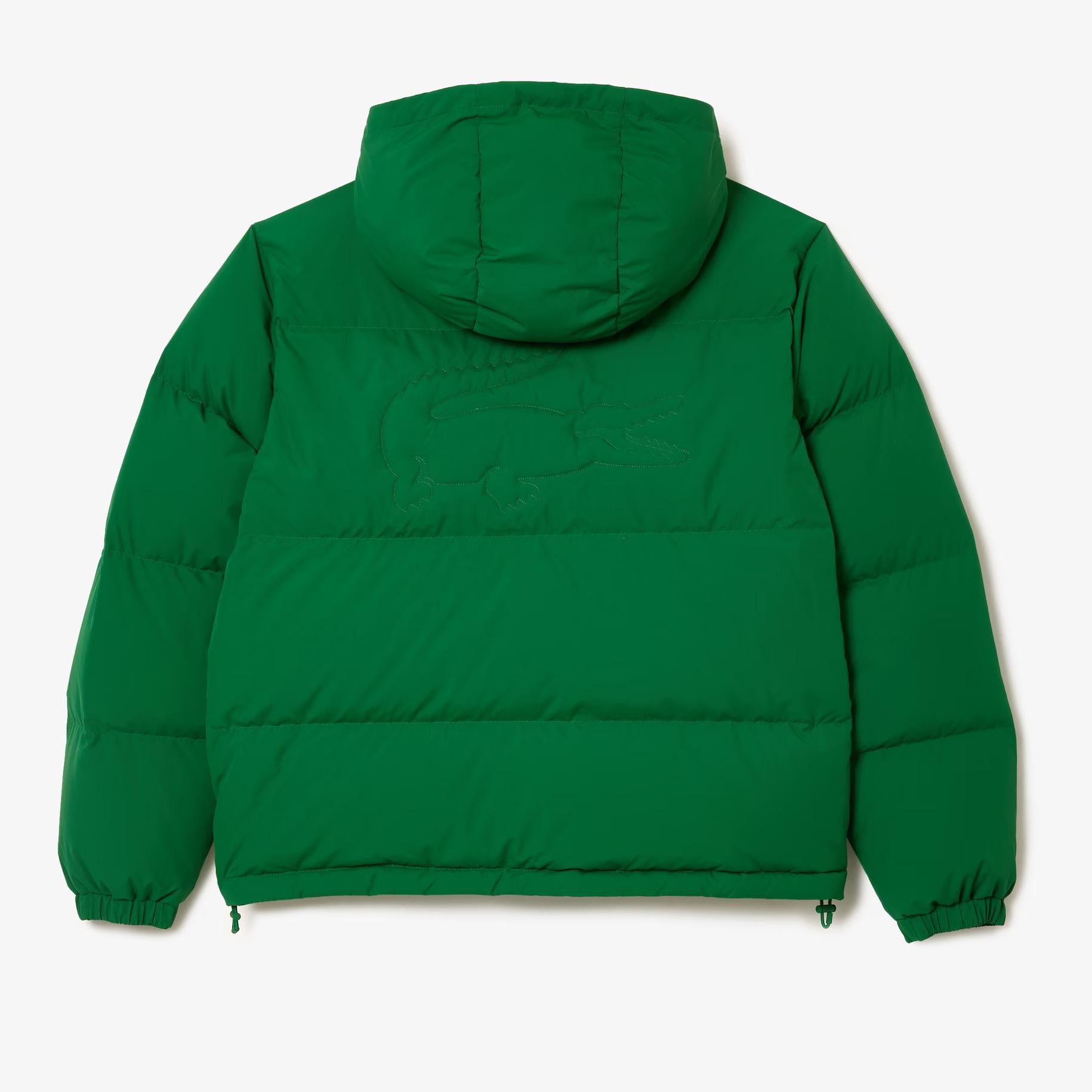 PIUMINO UOMO LACOSTE - Azzollino