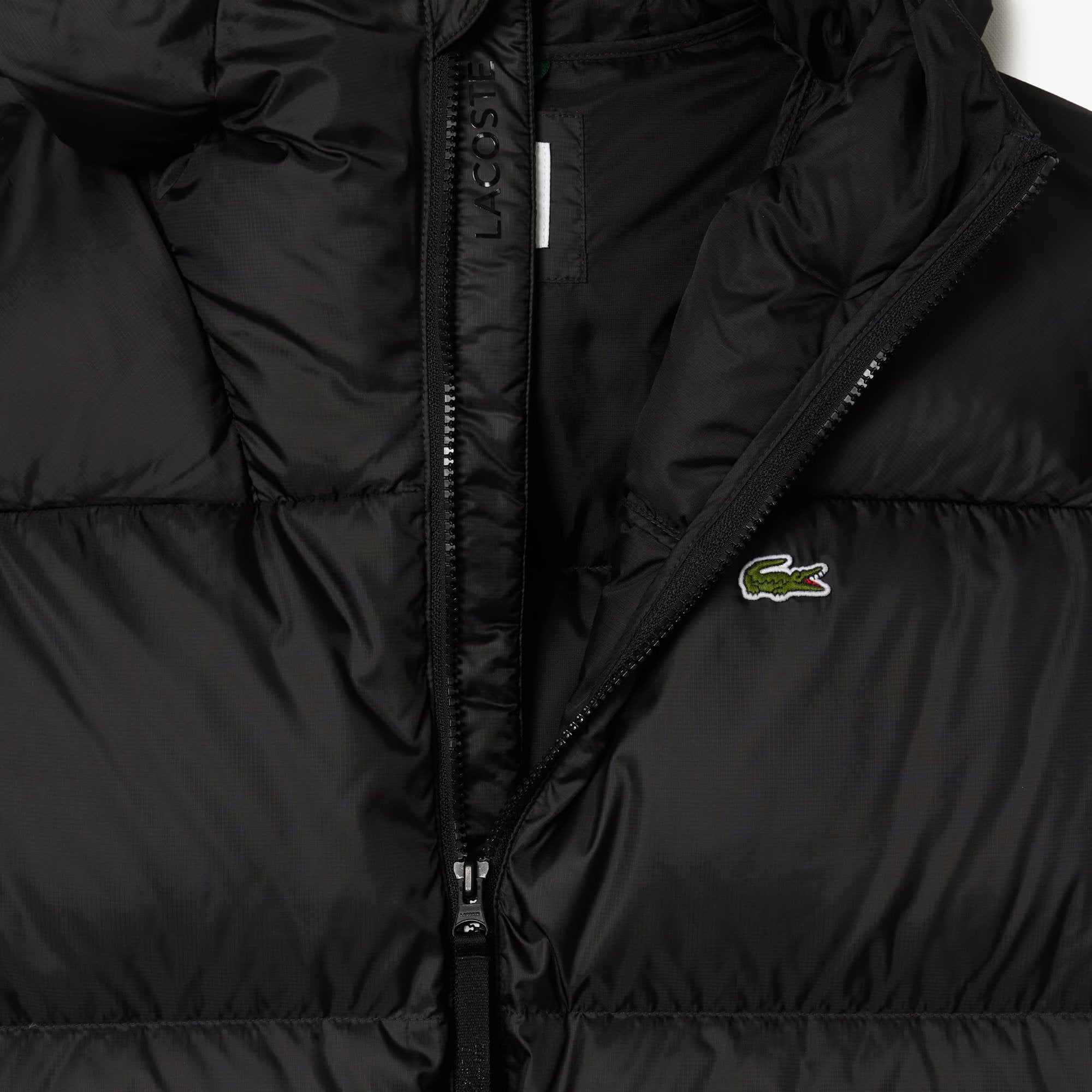 PIUMINO LACOSTE UOMO