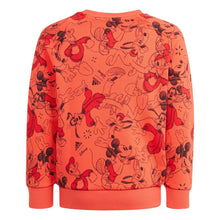 Cargar imagen en el visor de la galería, FELPA JUNIOR DISNEY