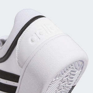 HOOPS 3.0