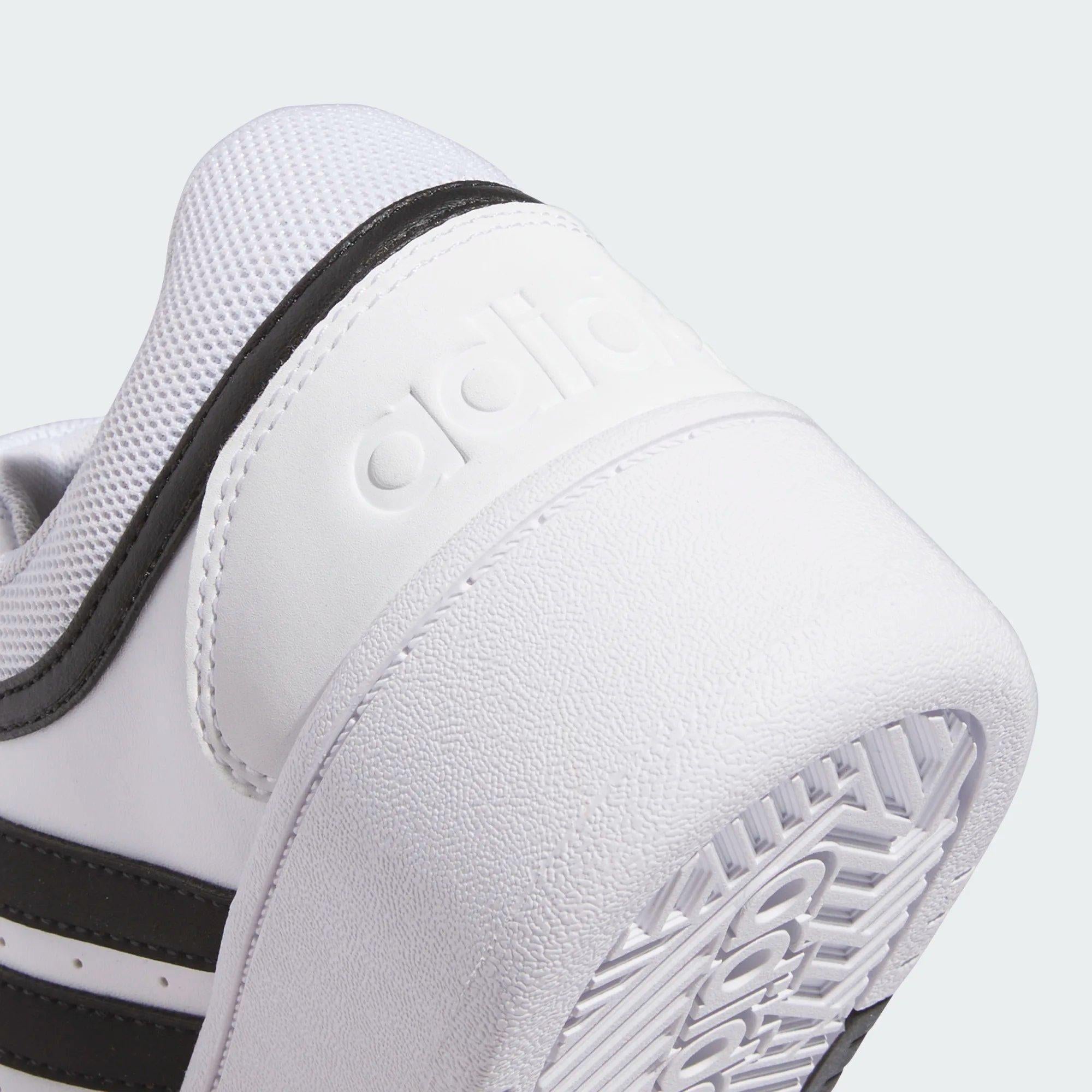 HOOPS 3.0