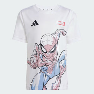 COMPLETINO SPIDERMAN