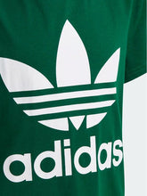 Load image into Gallery viewer, T-SHIRT JUNIOR

