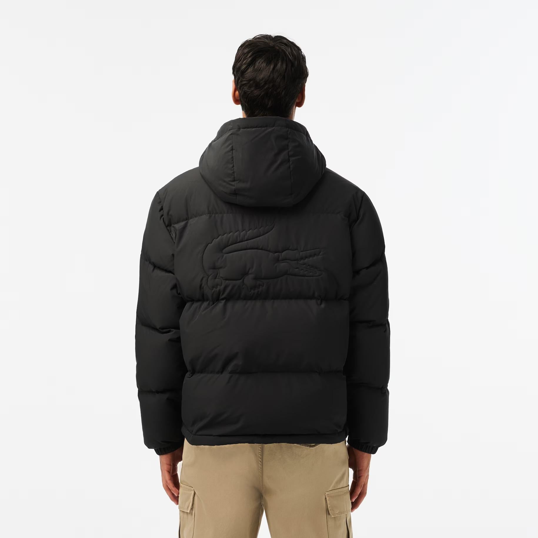 PIUMINO UOMO LACOSTE - Azzollino