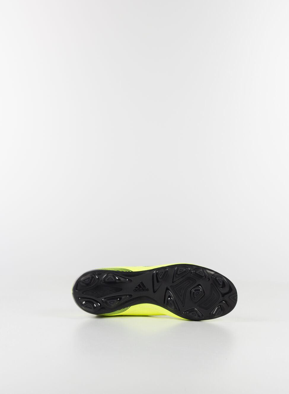 COPA SENSE.4 FxG - Azzollino