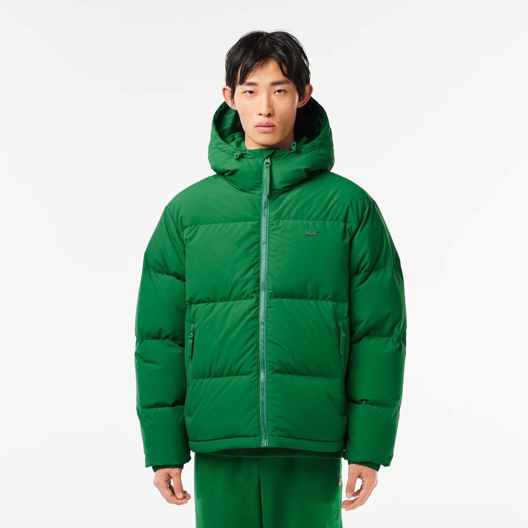 PIUMINO UOMO LACOSTE - Azzollino