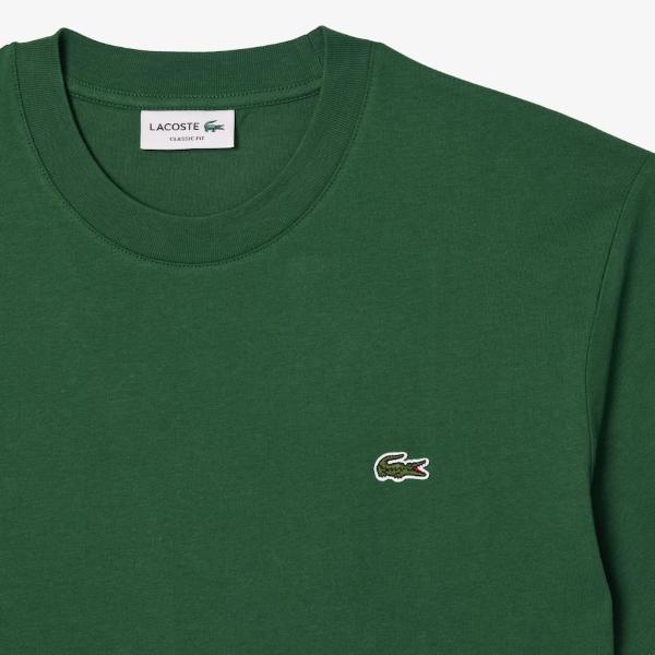 T-SHIRT  LACOSTE - Azzollino
