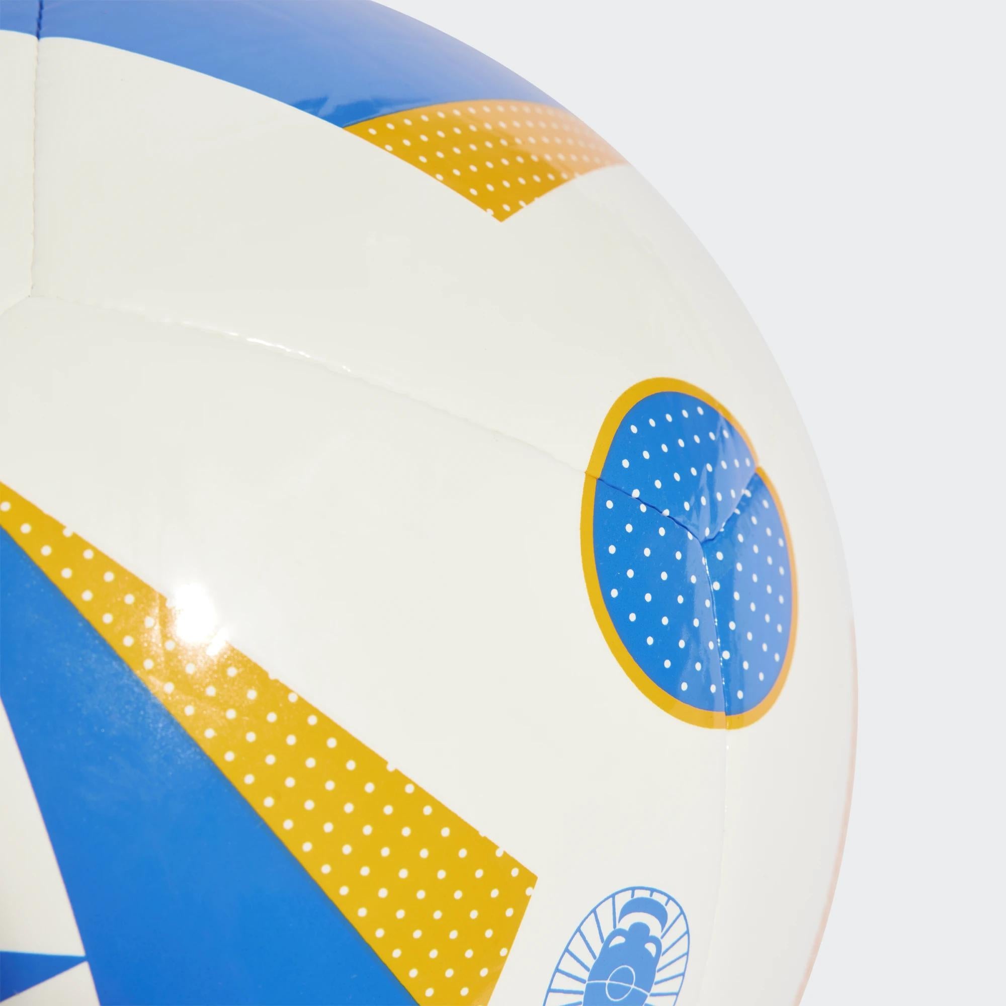 PALLONE CALCIO EURO 24