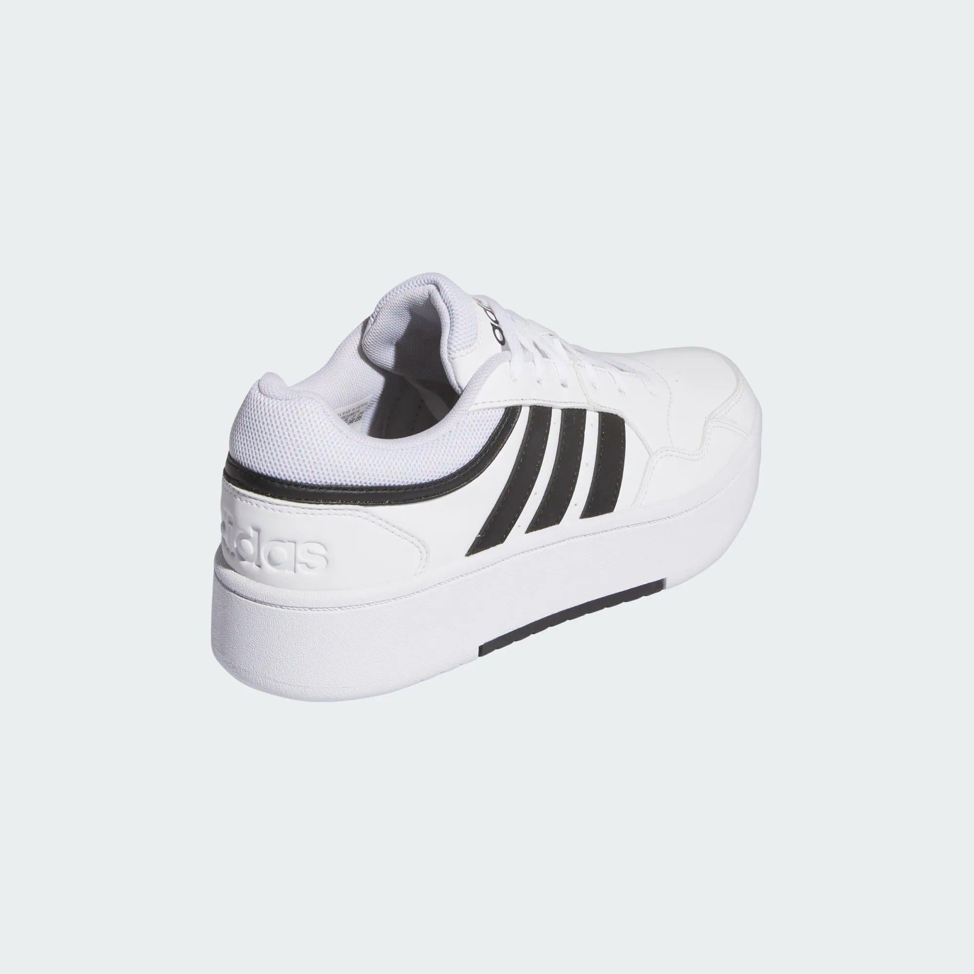 HOOPS 3.0