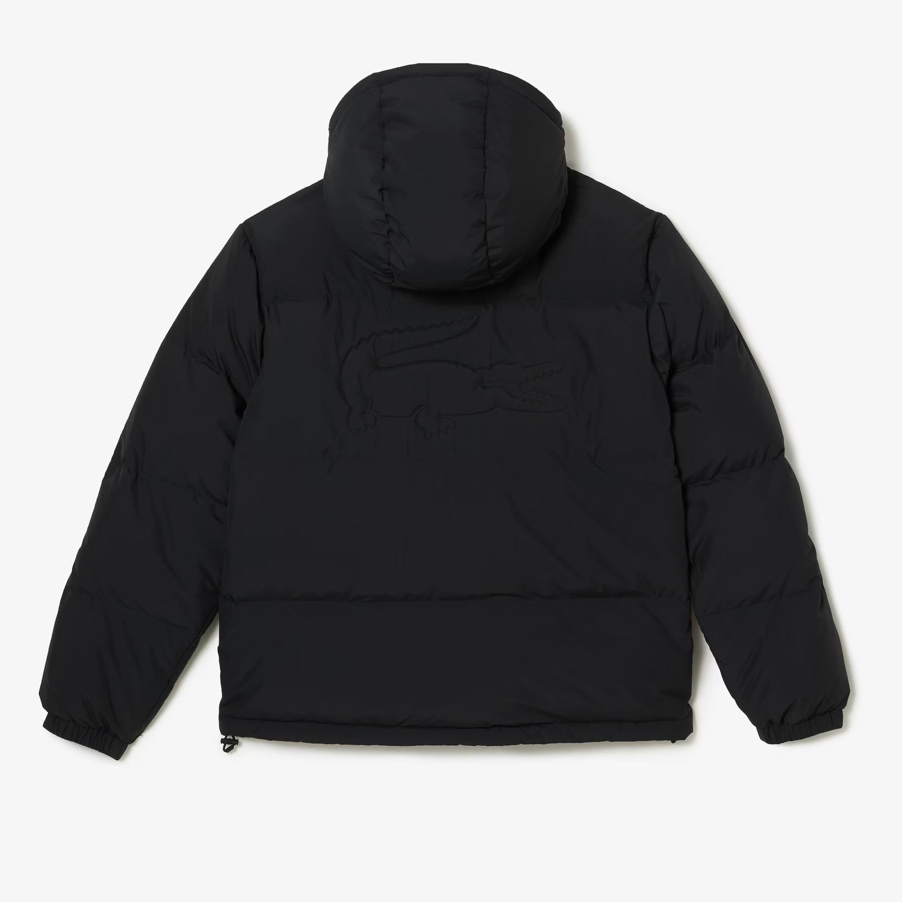PIUMINO UOMO LACOSTE - Azzollino