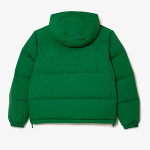PIUMINO UOMO LACOSTE