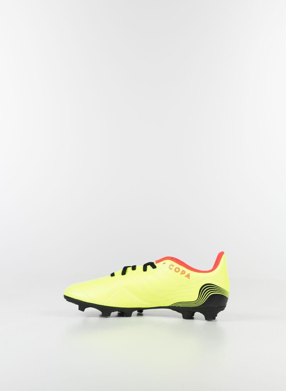 COPA SENSE.4 FxG - Azzollino
