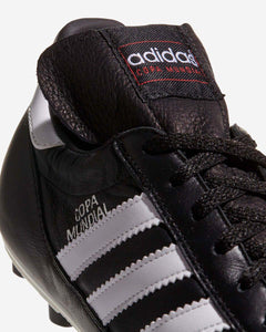 COPA MUNDIAL - Azzollino